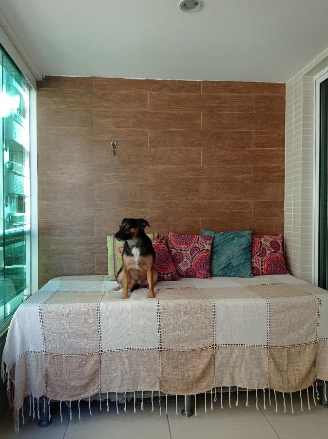 Apartamento 2 Quartos Do Cabo Frío